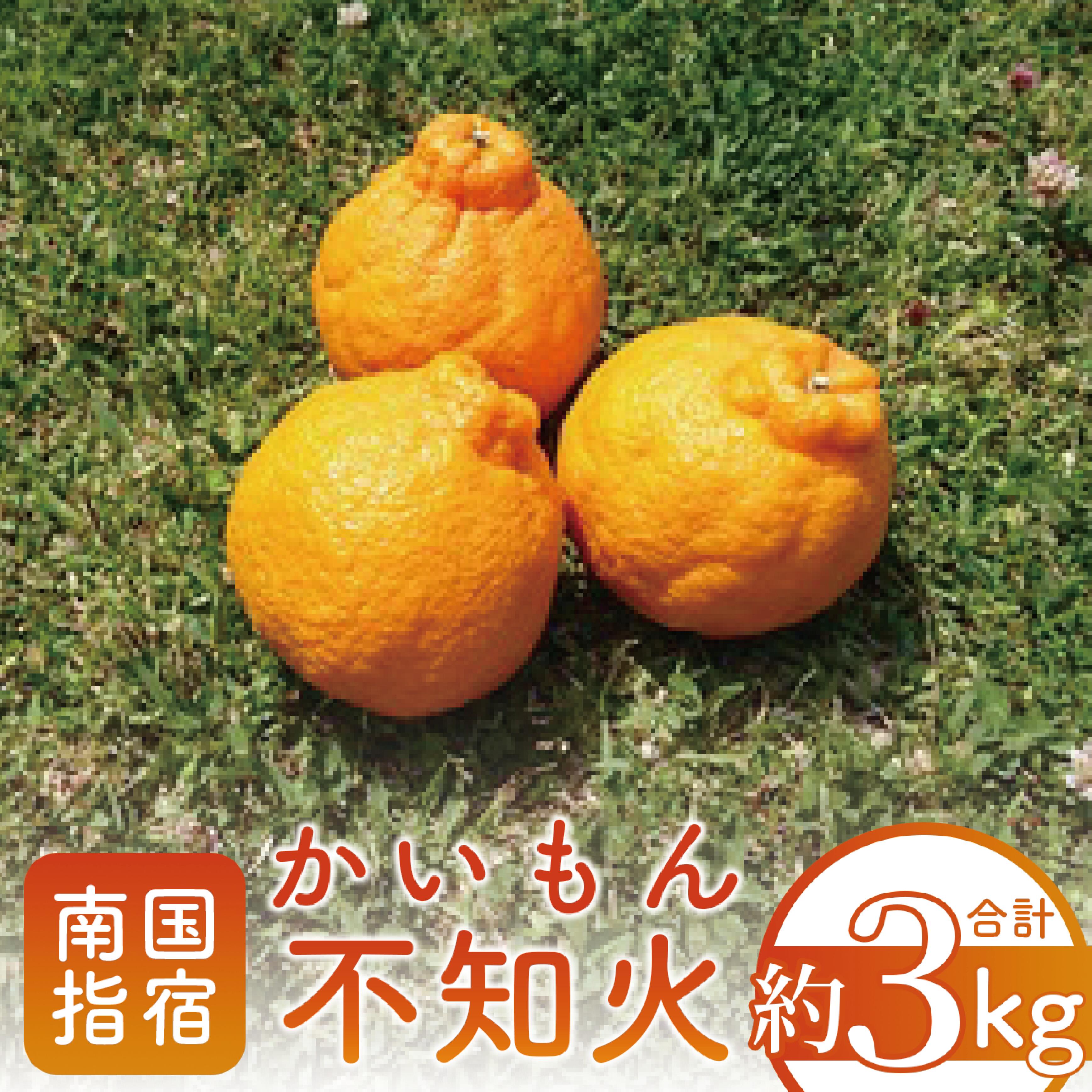 【ふるさと納税】＜期間限定！2026年1月上旬頃以降順次発送＞鹿児島県指宿市産のみかん！かいもん不知火(約3kg) 不知火 しらぬい みかん ミカン 柑橘類 フルーツ 果物 旬 大容量 冬 春 【迫田果樹園】