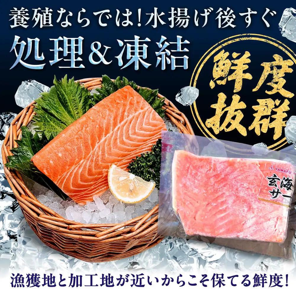 玄海サーモン柵80g×6袋 / 佐賀県 / 株式会社九州特産品販売 [41AECT008]