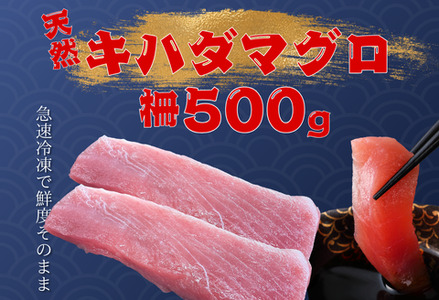 天然キハダマグロ(500ｇ) 【冷凍/柵】～海人からの贈り物～