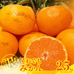 【2026年先行予約】訳あり それでも みかん 箱込 2.5kg ( 内容量 2.3kg ) サイズミックス Ｂ品 有田みかん 和歌山県産 産地直送 家庭用【みかんの会】_MK1048