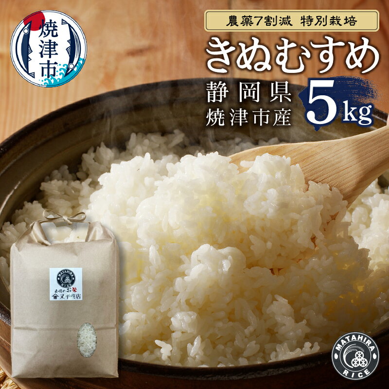 【ふるさと納税】 米 白米 きぬむすめ 5kg 農薬7割減 特別栽培 安心 安全 こだわり 減農薬 ごはん 焼津 a21-076