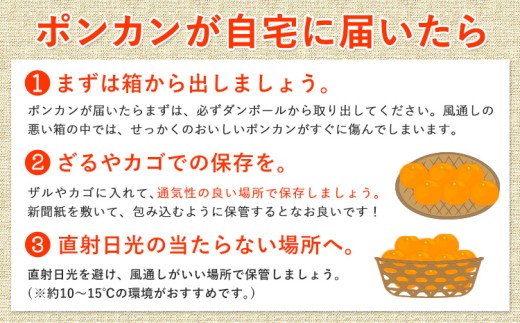 ご家庭用 極甘 柑橘 有田育ちの 濃厚 ポンカン 約1.5kg 有田マルシェ《1月中旬-2月下旬頃発送予定》和歌山県 日高町 国産 ぽんかん 訳あり 柑橘 果物 フルーツ ギフト 送料無料