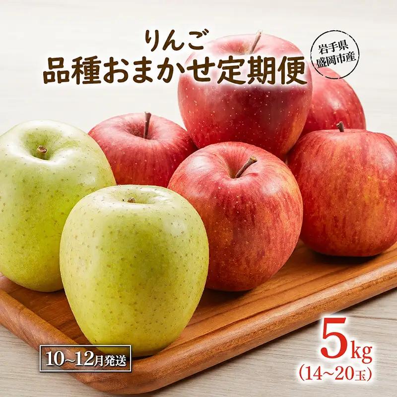 【定期便】 訳あり りんご 品種おまかせ 5kg 3ヶ月 田村ふぁーむ tamura010 りんご
