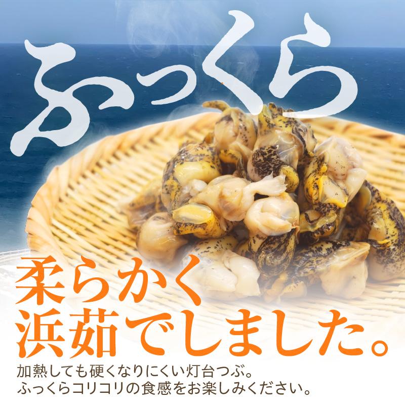浜茹でつぶ貝 250g【er001-116-b】