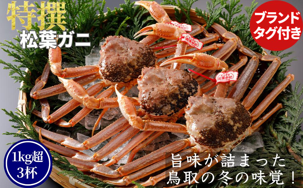 
            【活物】特撰 松葉がに（タグ付き）1kg超の大きいサイズ　特大3杯
          