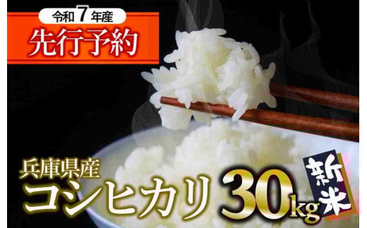【新米先行予約】コシヒカリ 30kg 白米 令和７年産 (102-1) 米 お米 30kg 米30kg 兵庫県産 こしひかり コシヒカリ 西脇市産 令和7年産 R7年産 2025年産 精米