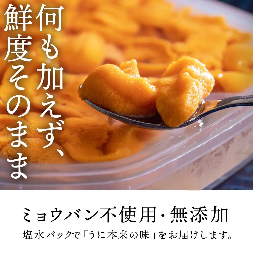 【2026年夏発送分】バフンウニ100g×4パック