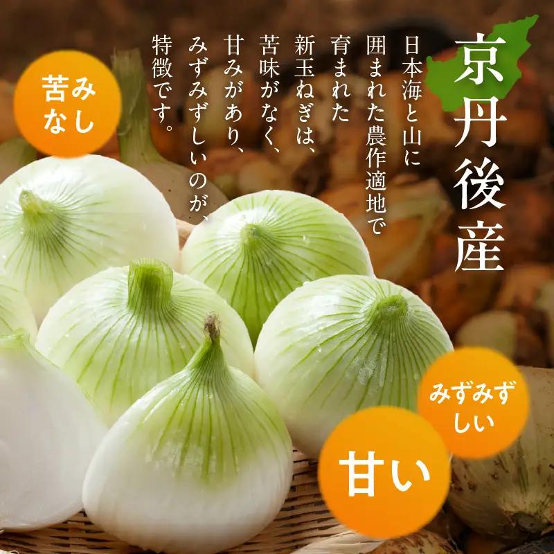 【玉ねぎ】訳あり 新たまねぎ 7kg | 玉ねぎ
