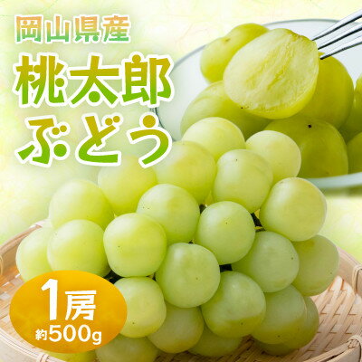【ふるさと納税】【2026年発送】岡山県産桃太郎ぶどう　1房・約500g(クール便)【配送不可地域：離島】【1614358】