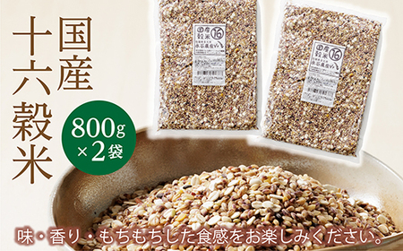 b-364 国産十六穀米 800g×2袋