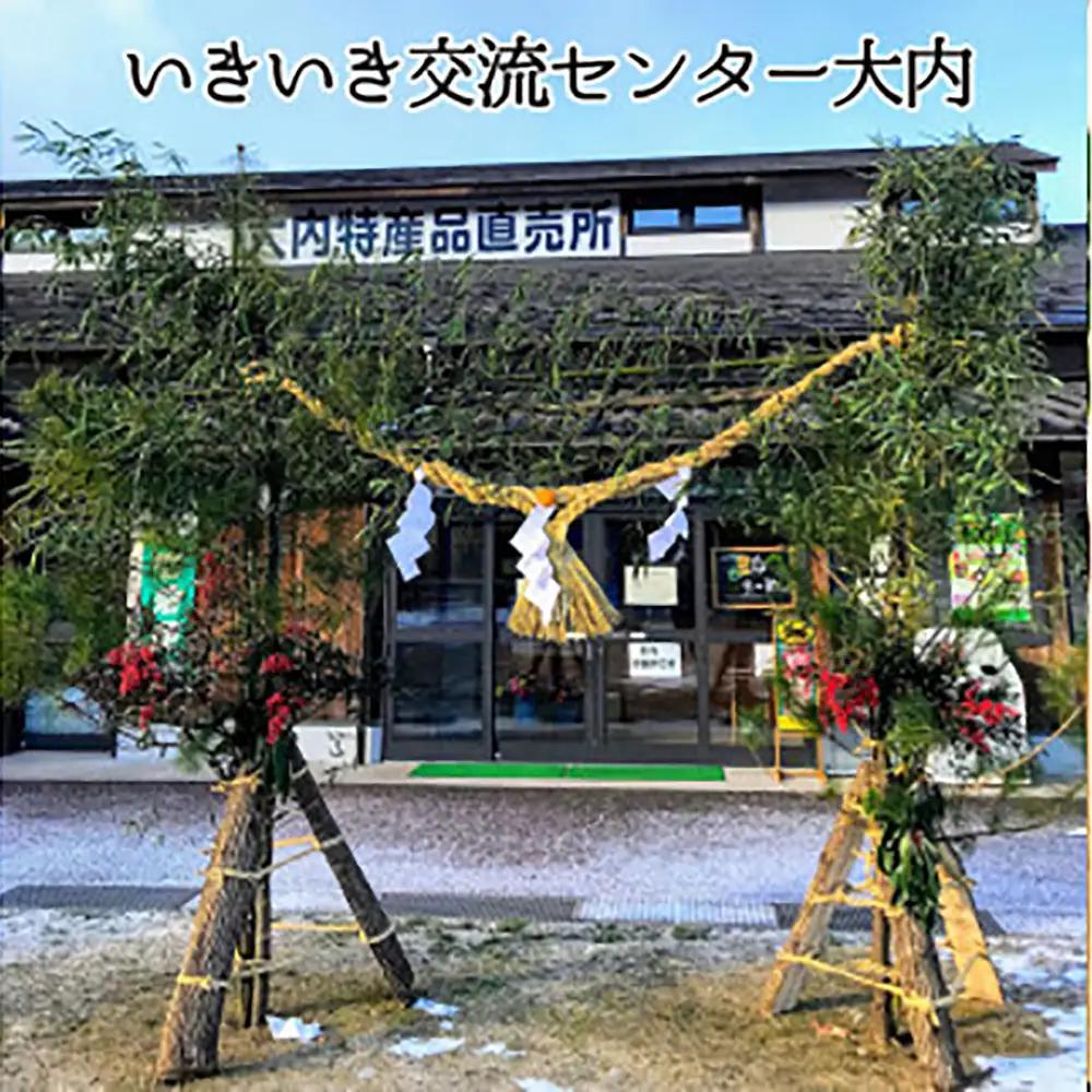 【先行予約】丸森町産 自然薯1kg 専用化粧箱入り レシピ集付き【12103】