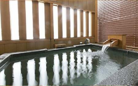 東京発　北陸新幹線はくたか号グランクラスペア往復チケットと金太郎温泉「峰の界」スイートルームペア朝夕食付宿泊券セット ｜ 旅行 宿泊券 富山 宿泊 ホテル 観光 北陸 新幹線 北陸新幹線 電車 温泉 