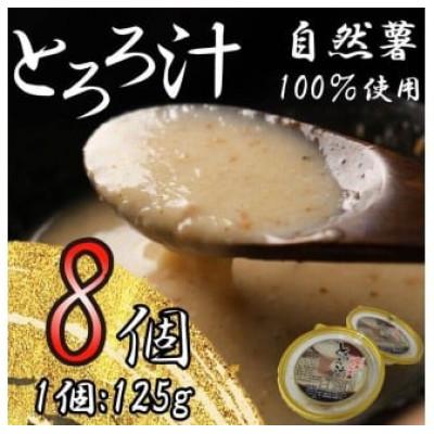 ふるさと納税 藤枝市 自然薯 100% 冷凍 味付けとろろ汁 8個セット