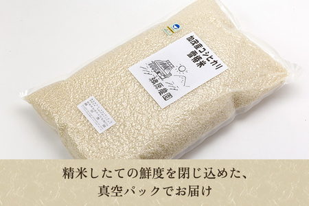 【令和7年産】新潟産コシヒカリ「雪椿米」特別栽培米 精米5kg 白米真空パック