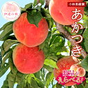 【ふるさと納税】2025年出荷分 先行予約数量が選べる 福島県産 あかつき 3kg 5kg 2025年7月下旬〜2025年8月上旬発送 先行予約 予約 伊達の桃 桃 もも モモ 果物 くだもの フルーツ 名産品 国産 食品 F20C-591var