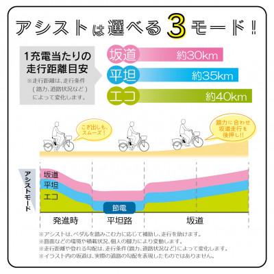 ふるさと納税 香取市 アクティブプラス ノーパンク20インチ電動アシスト折畳み自転車 マットブラック MG-AP20EBN |  | 02