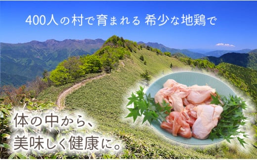 【大川村と芸西村の共通返礼品】はちきん地鶏 まるごと一羽おためしセット 約1kg＆土佐鴨 鴨鍋肉（2～3人前）セット 地鶏 もも肉 むね肉 ささみ 手羽先 手羽元 鶏肉 鴨 鴨肉 高知県 大川村 F6