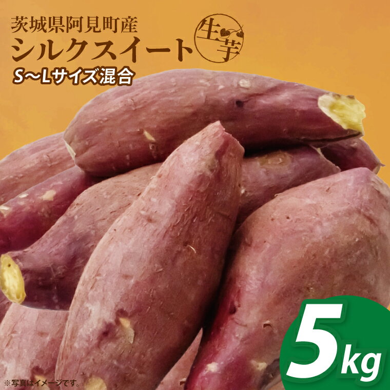 【ふるさと納税】【2026年1月中旬より順次発送】さつまいも シルクスイート5kg【甘藷 甘い さつま芋 サツマイモ 薩摩芋 茨城県産 茨城県 阿見町】(90-03)