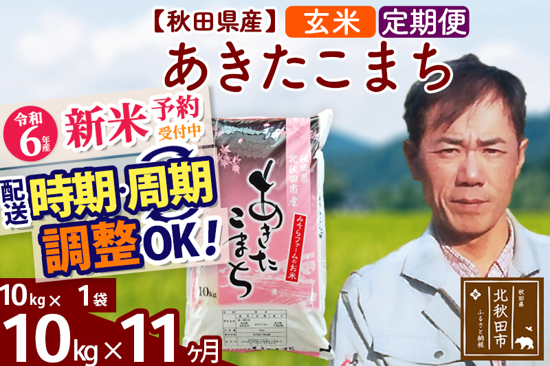 
※令和6年産 新米予約※《定期便11ヶ月》秋田県産 あきたこまち 10kg【玄米】(10kg袋) 2024年産 お届け時期選べる お届け周期調整可能 隔月に調整OK お米 みそらファーム
