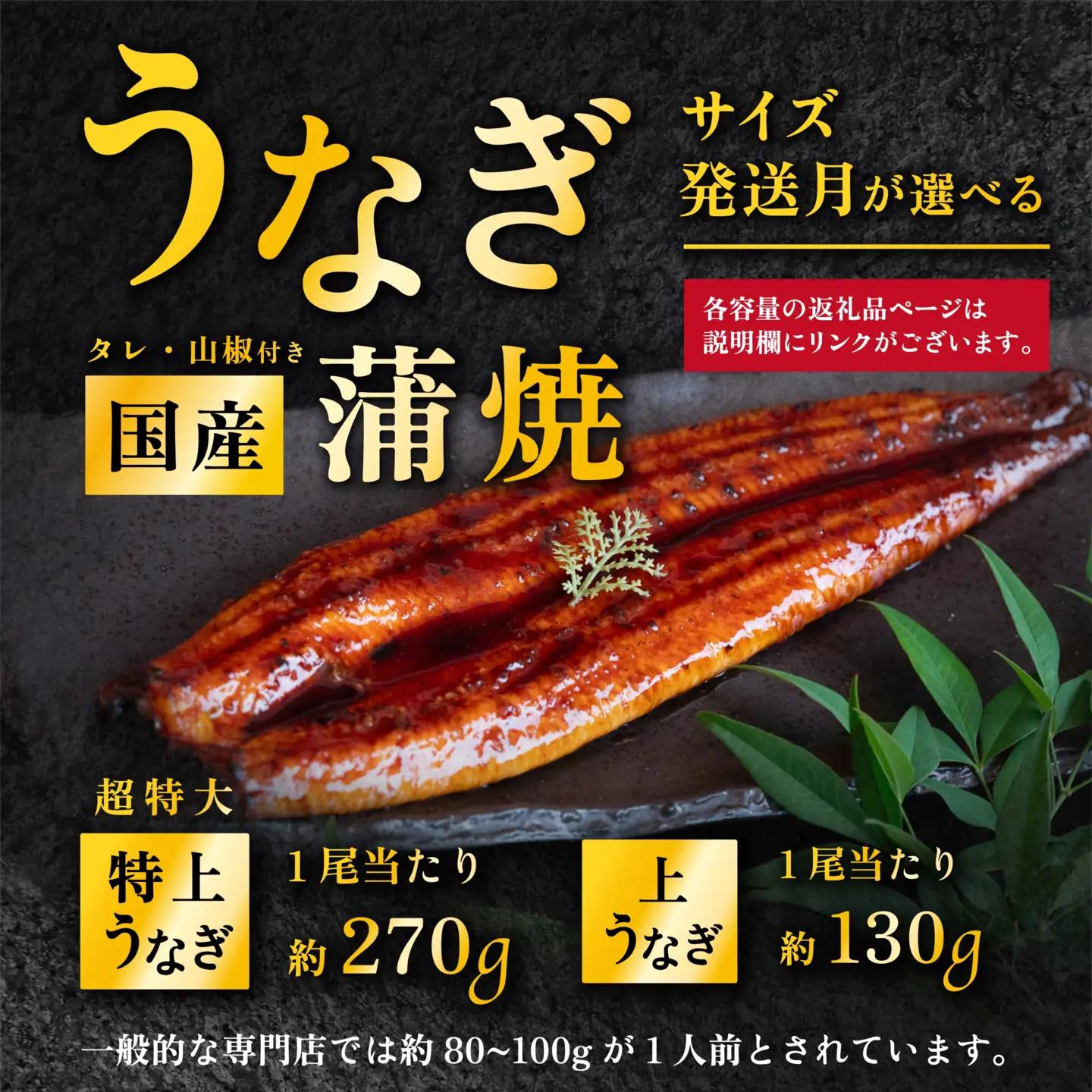うなぎ 国産 蒲焼き 1尾 270g 特上ウナギ 8月発送