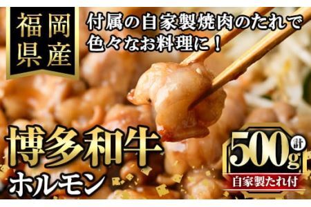 博多和牛もつ鍋用ホルモン 自家製焼肉のたれ付(500g) 牛肉 和牛 博多和牛 国産 ホルモン もつ モツ もつ鍋 ＜離島配送不可＞【ksg1291】【くしだ企画】