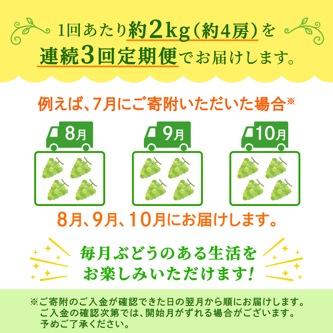 【定期便】3か月連続でお届け！ シャインマスカット 約2kg（約4房）【2026年8月から発送開始】（茨城県共通返礼品 [ぶどう]：結城市産） ぶどう ブドウ 葡萄 シャインマスカット 種なし 皮ごと