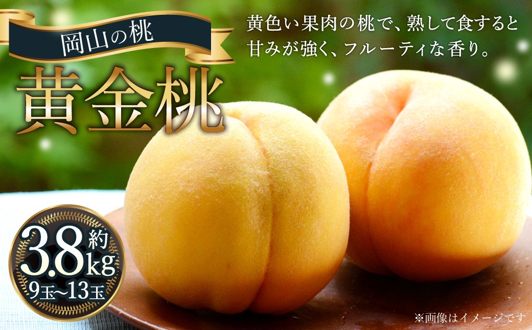 
                  岡山の桃 黄金桃 9～13玉 （約3.8kg） 【2026年9月発送予定】 黄肉 糖度 香り 果実 食感 くだもの 果物 フルーツ もも 桃 モモ ピーチ 国産 岡山県産 ブランド 甘み
                