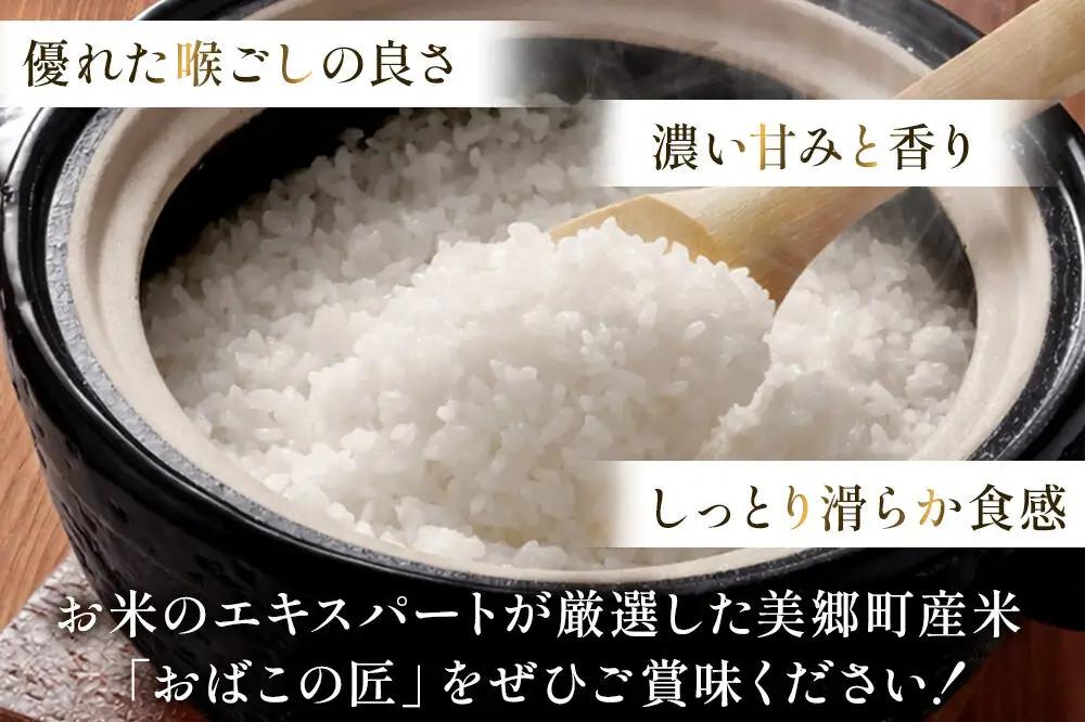 令和7年産 おばこの匠 秋田県産あきたこまち 5kg（白米）5kg袋 秋田こまち お米