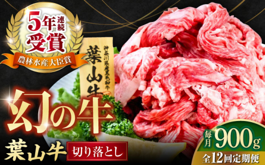 【全12回定期便】葉山牛 切り落とし300g×3パック 国産牛 牛肉 切り落とし 高級和牛 冷凍 黒毛和牛 国産 希少品種 小分け 横須賀 すき焼き すきやき ぎゅうにく きりおとし 大容量 神奈川銘品 計900g【株式会社羽根】 [AKAG032]