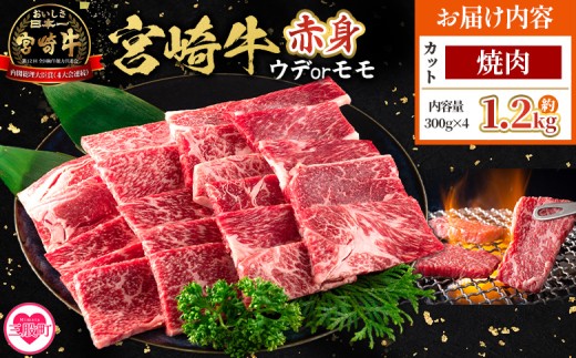 ＜宮崎牛赤身【焼肉】（ウデorモモ）1.2kg＞【2月発送】脂控えめ ヘルシー あっさり うで もも 炒め物 肉料理 ご馳走 国産 ブランド牛肉 黒毛和牛【MI684-my-feb】【ミヤチク】