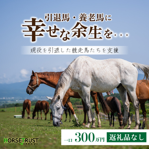 【引退競走馬 余生支援】北海道 岩内町 ホーストラスト北海道支援 300万円コース 引退馬 F21H-570