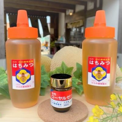 ふるさと納税 館山市 ひふみ養蜂園 はちみつ(500g×2)・ローヤルゼリー(30g) | 