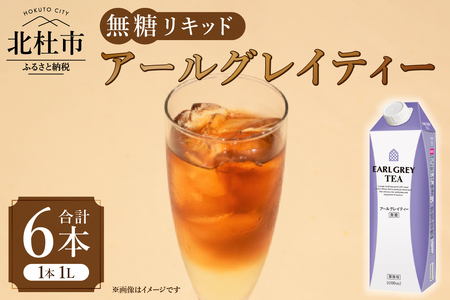 三井農林 WN(ホワイトノーブル紅茶) アールグレイティー 無糖リキッド 1L×6本 アールグレイティー 無糖 紅茶 ホワイトノーブル 1L 1000ml×6本 紙パック 無糖リキッド 柑橘系 ベルガモットフレーバー アレンジティー 飲料 日東紅茶 業務用 優雅 贅沢 ティータイム 山梨県 北杜市  [h347]