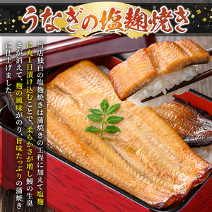 a982-C うなぎ塩麹焼き・1尾分(170g～190g)【うえの屋】姶良市 うなぎ 鰻 ウナギ 塩こうじ 塩麹 焼き カット 鹿児島 国産 冷凍