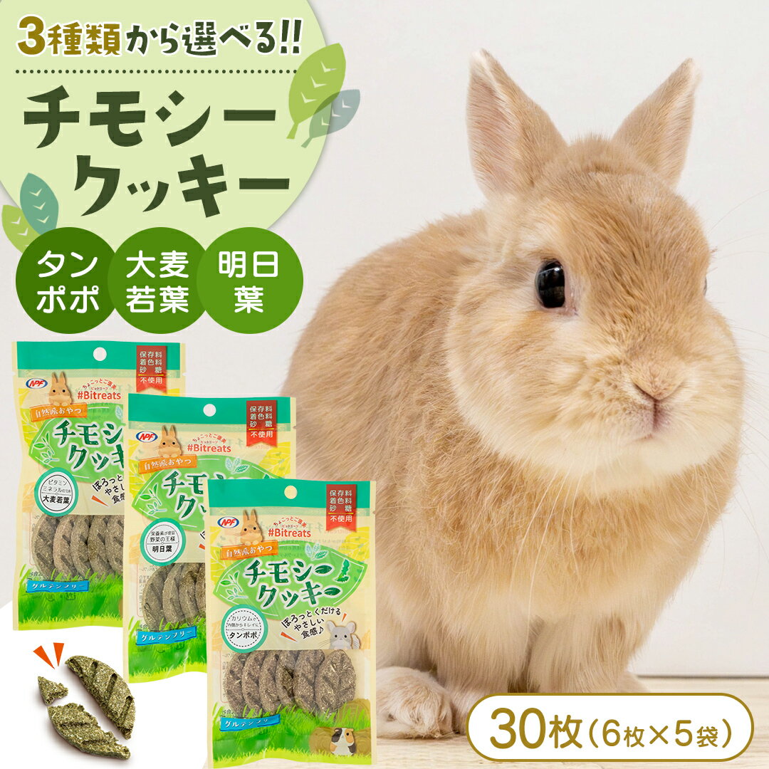 【ふるさと納税】選べる ビットリーツ チモシークッキー（ タンポポ ・ 大麦若葉 ・ 明日葉 ） 6枚 × 5袋 小動物用フード ペットフード おやつ
