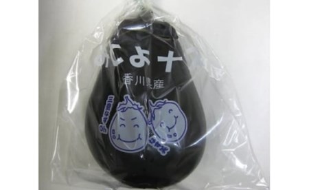 【先行予約】三豊市特産とろける果肉「三豊なす」約2kg_M02-0096
