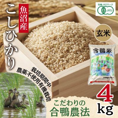 ふるさと納税 十日町市 【玄米】魚沼産 コシヒカリ 4kg 栽培期間中農薬不使用 あいがも農法 有機栽培米 新潟県十日町市