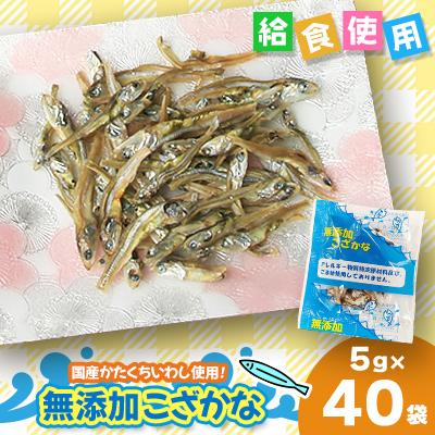 ふるさと納税 下仁田町 給食使用で安心の無添加こざかな  5g×40個