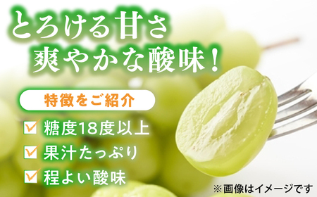 【先行予約！2024年8月下旬より順次発送】産地直送 シャインマスカット 約1.4kg 　広川町/JAふくおか八女農産物直売所どろや[AFAB007]