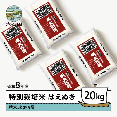 ふるさと納税 大石田町 【先行予約】 新米 米 はえぬき 20kg 精米 令和8年産 特別栽培米 2027年1月下旬発送
