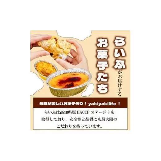 こだわり ゼリーアソート 15個 5種×3個 ゼリー