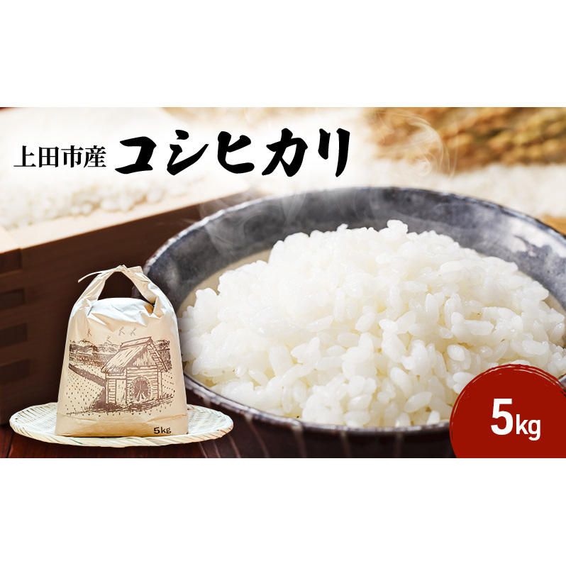 米 令和7年産 長野 コシヒカリ 5kg お米 こめ コメ おこめ 新米 白米 精米 5キロ こしひかり 信州 長野県 上田市 上田