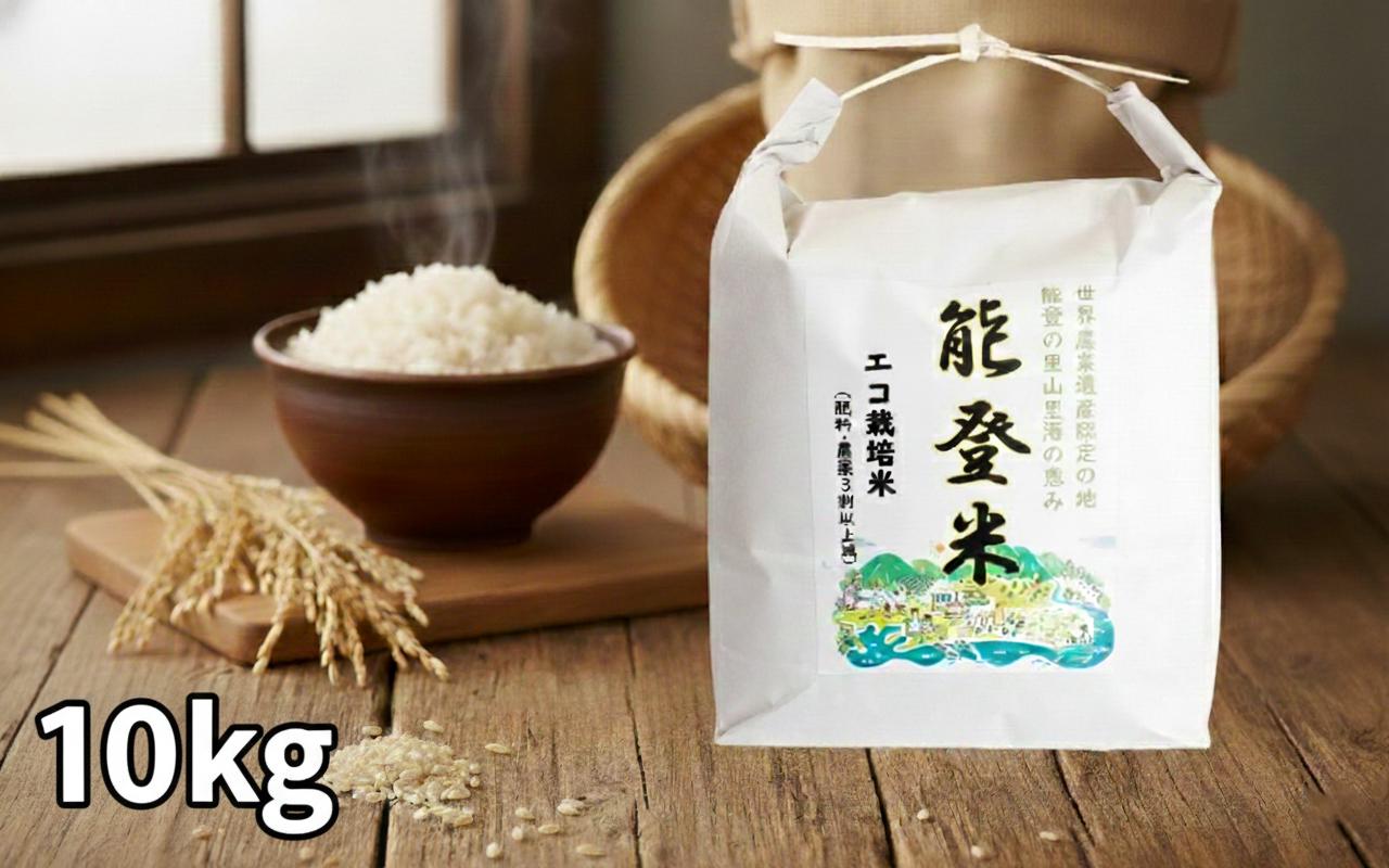 
                  【令和7年産】 コシヒカリ 精米 10kg 1袋 石川県産 こしひかり 10kg×1袋 米 のと米 精米 能登 能登米 こだわり 石川県産 能登米 エコ 栽培 環境 白米 こめ コメ お米 米10kg 10キロ 銘柄米 2025年産 おこめ 精米 R7 ご飯 ごはん 送料無料 数量 限定 ギフト 白飯 米 ※ ふるさと納税 能登 石川 羽咋 はくい トキ 放鳥 北陸 災害 復興 支援 復興支援
                