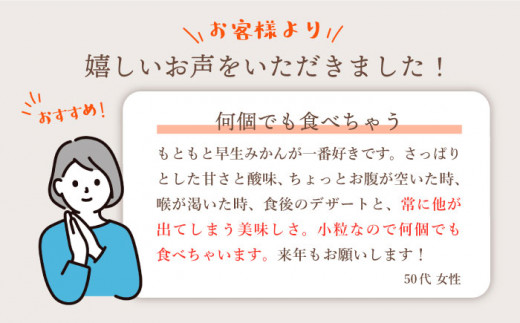 みかん 【先行予約】【酸っぱいから甘いへの変化】 極早生みかん （岩崎・上野）約5kg みかん ミカン 柑橘 西海みかん 早生みかん 贈答 ギフト みかん ＜Da・IWASAKI FARM＞ [CCZ