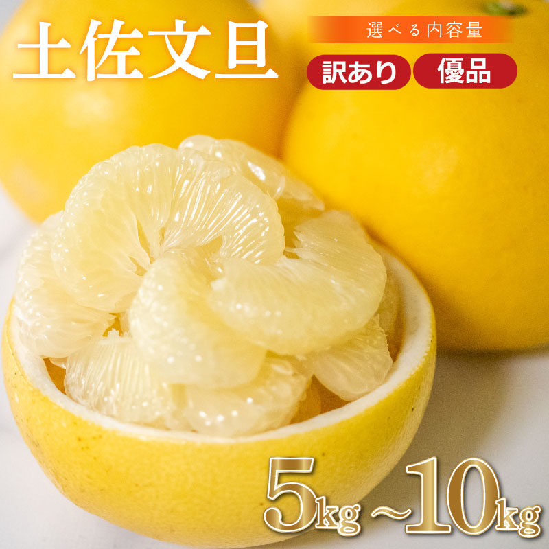 【ふるさと納税】 早期予約開始 訳あり 土佐文旦 文旦 5kg 10kg 選べる ぶんたん 旬 時期 2027年2月頃順次発送 数量限定 期間限定 みかん 蜜柑 柑橘 分担 明神果樹園 高知県 須崎市 浦ノ内 ビタミン 美味しい おいしい 爽やか スイーツ おやつ デザート ピール 砂糖 漬け 皮