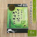 【ふるさと納税】そのぎ茶 かすてら (0.5号×4箱) カステラ スイーツ お菓子 和菓子 東彼杵町/彼杵の荘 [BAU071]