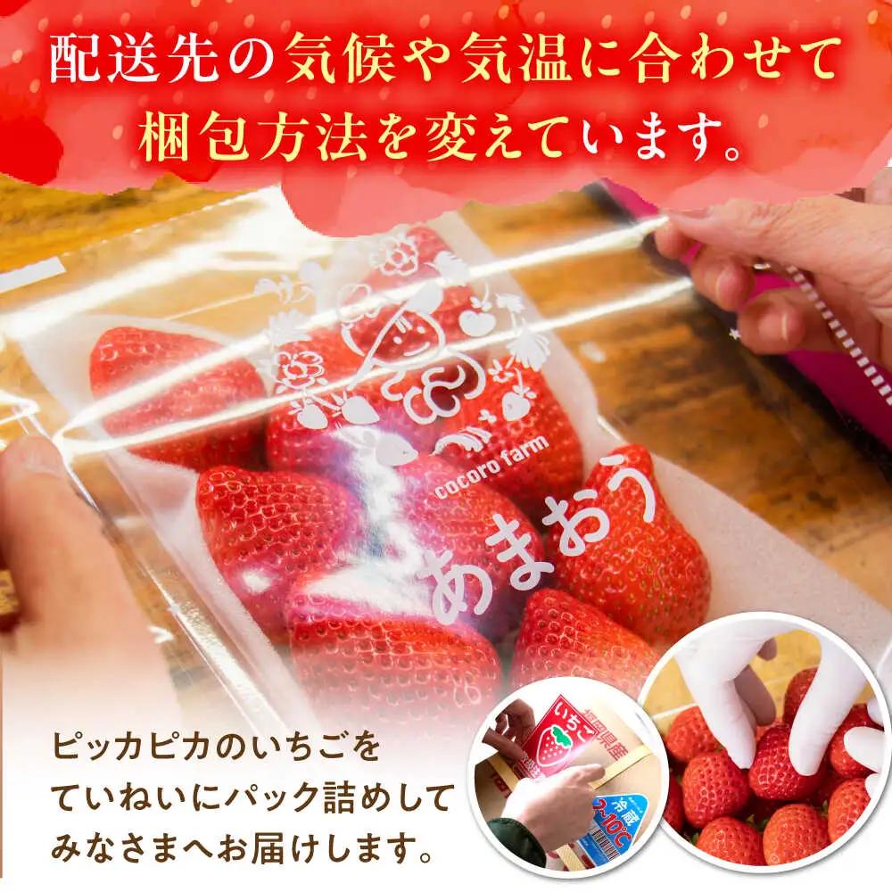 【先行予約】ココロファームの濃厚あまおう 270g×4P VAE022 いちご あまおう