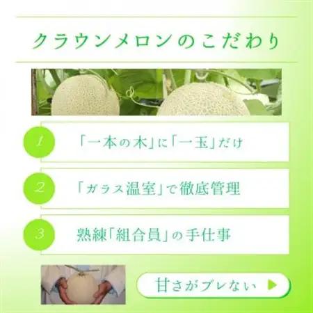静岡県磐田市 クラウンメロン 白等級 約1.3kg×2個【配送不可地域：離島・北海道・沖縄県】【1640718】