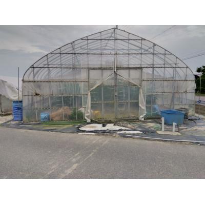 ふるさと納税 近江八幡市 近江農家野菜詰め合わせセット3kg〜8kg |  | 03