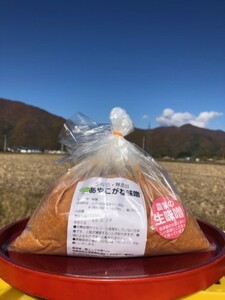 一年熟成あやこがね味噌 1kg入り×3袋 学校給食 無添加 生みそ 大豆 しっとり こだわり 甘み 優しい味 からだにやさしい 
